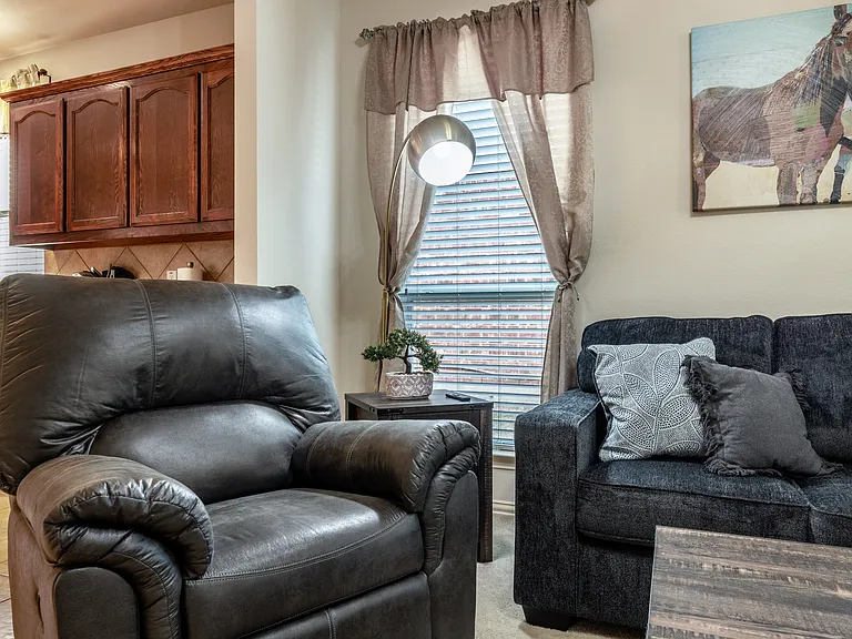 12044 Ringtail Dr — Photo 33