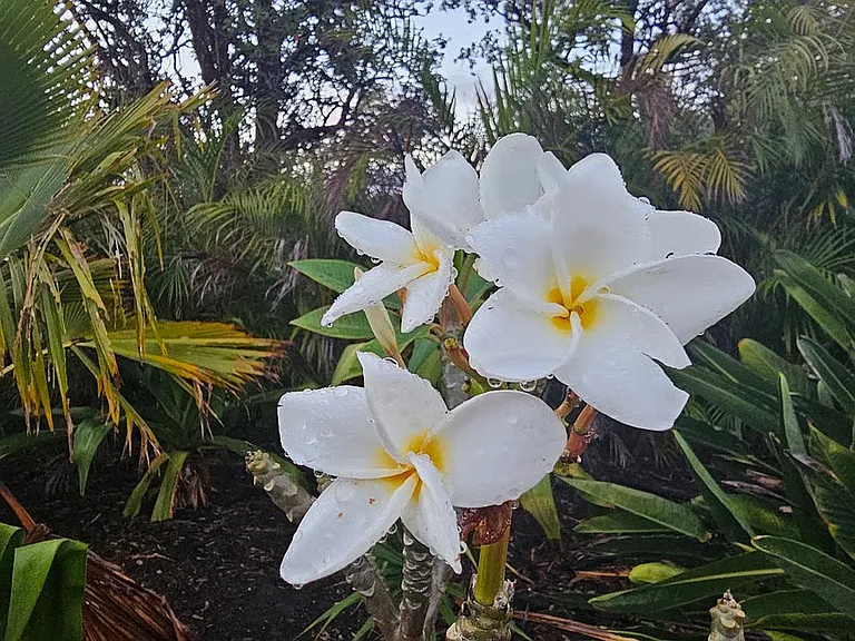 92-1766 Hukilau Dr — Photo 26
