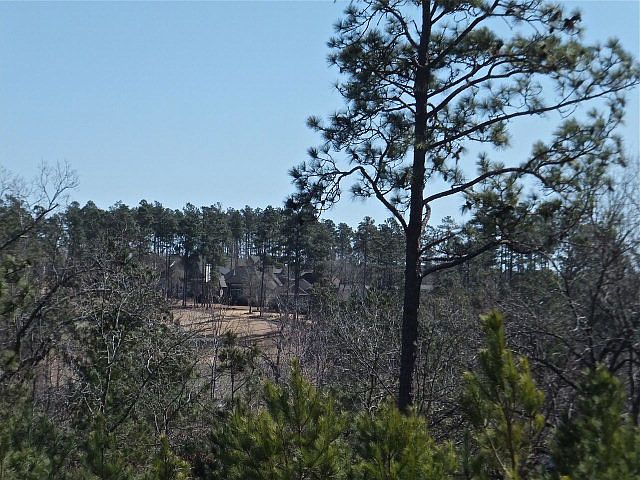 2nd image of 193 Foxhound Run Rd