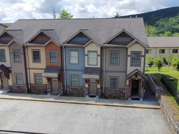 27 Creekside Dr, Snowshoe, WV 26209