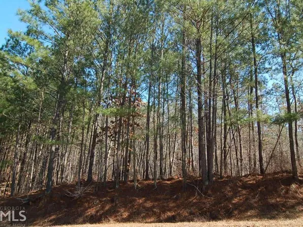 1480 Pullman Ln, Greensboro, GA 30642