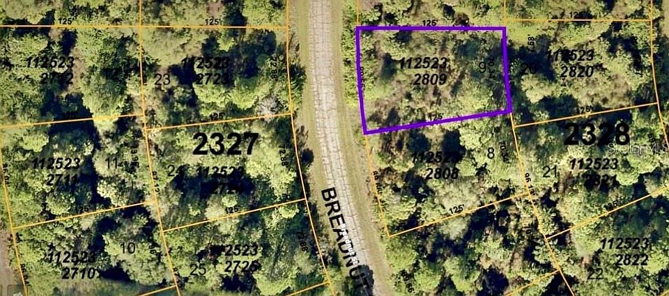 2nd image of Breadnut Lot 9