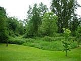 Almost 1 acre of beauty!