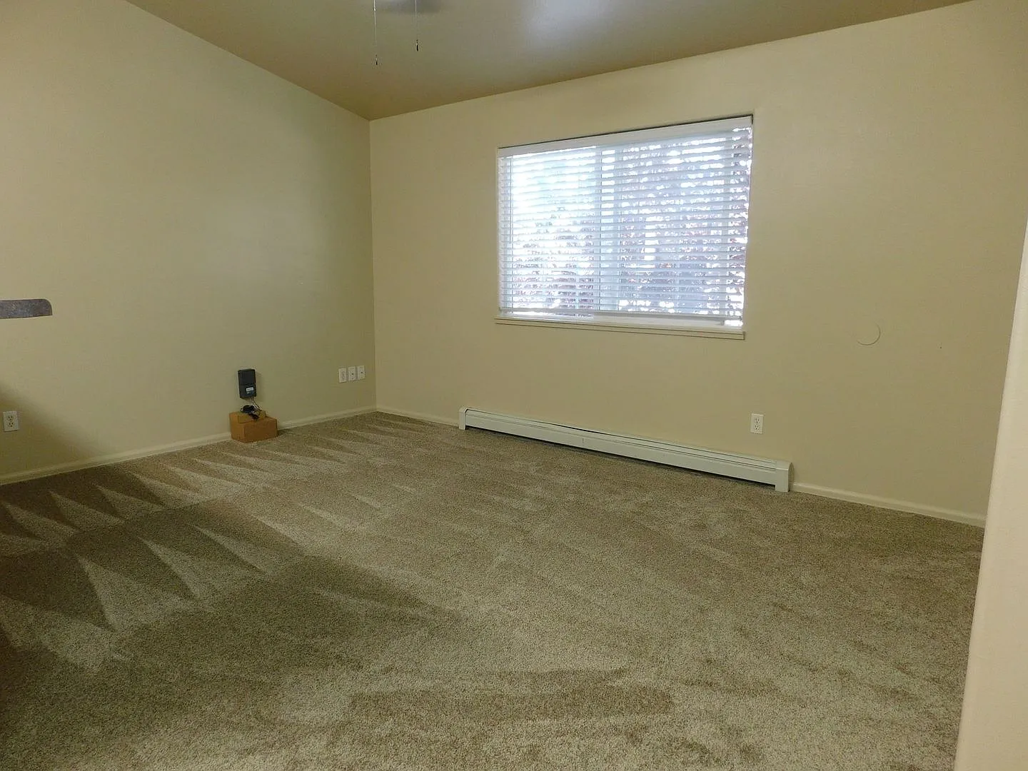 Reduced In Fruita — Photo 4