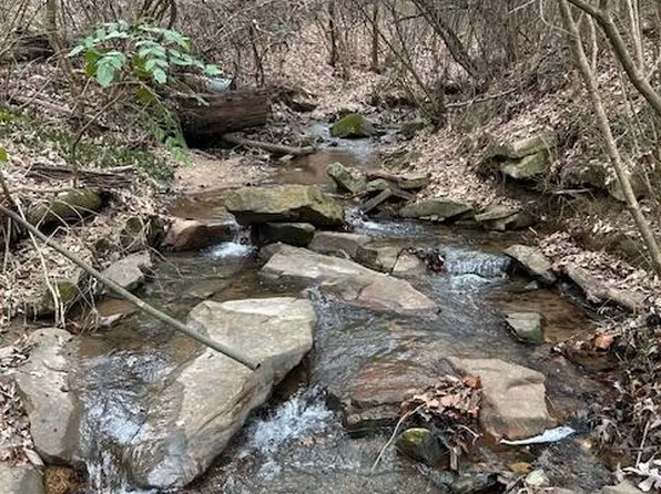 1007 Evanwood Dr E, Lookout Mountain, TN 37350