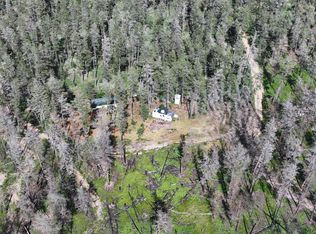 Wilderness Trl, Grayling, MI 49738