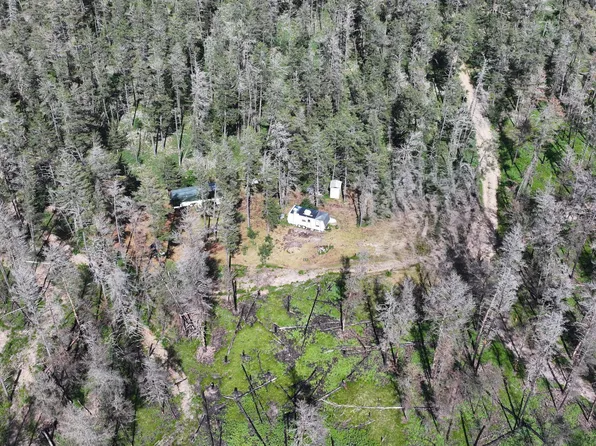 Wilderness Trl, Grayling, MI 49738
