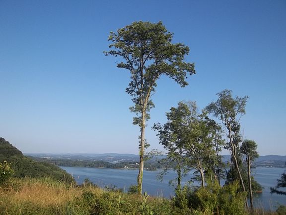 Image 5: WS west view