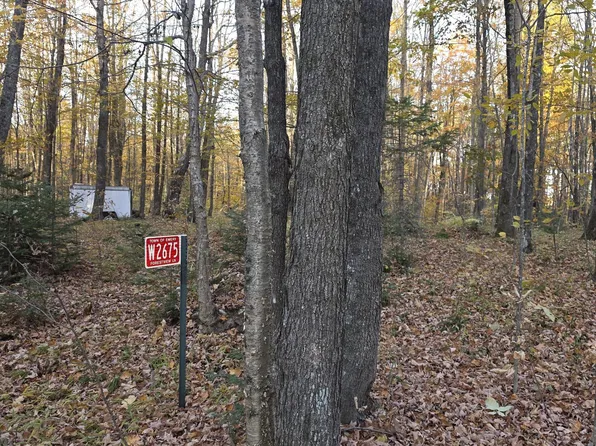 W2675 Forestview Ln, Phillips, WI 54555