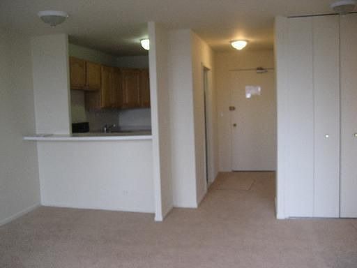4th image of 88 W Schiller St APT 505L
