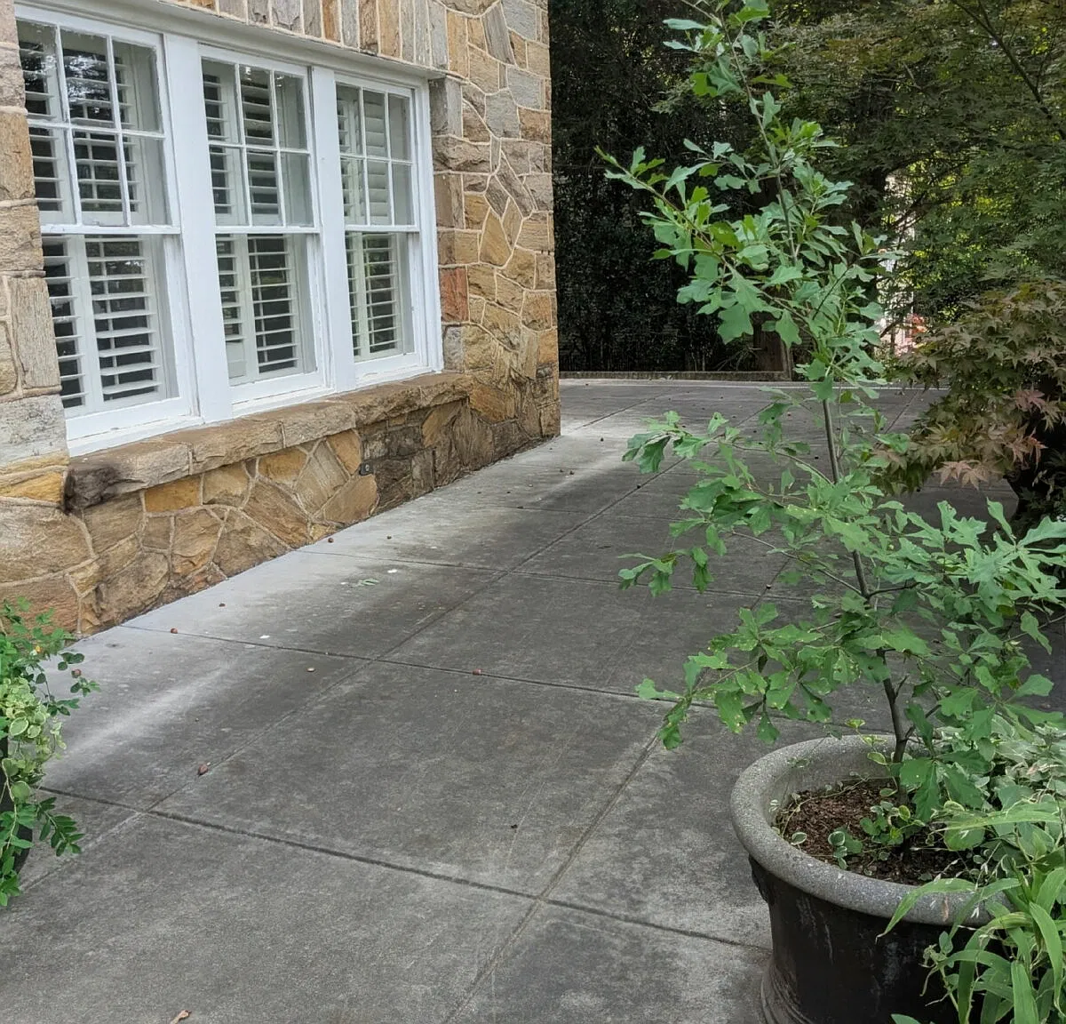 2 bed, 1.0 bath, $1,795 — Photo 2