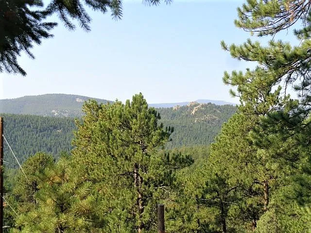 4171 Aspen Ln — Photo 3