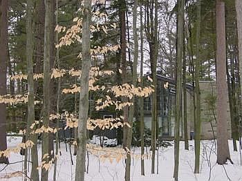 1st image of 10209 Lakewood Dr