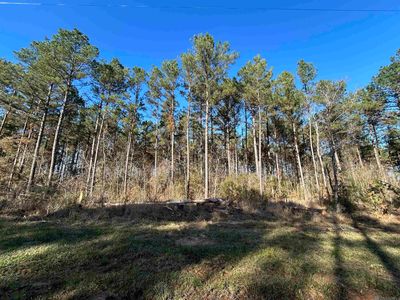 15 Butterbean Rdg, Livingston, LA, 70754