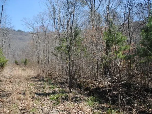 511 Newsome Gap Rd, Rising Fawn, GA 30738