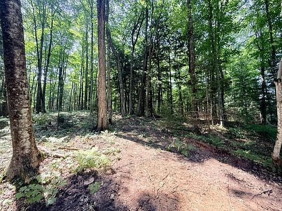 3rd image of 8359W State Highway 77
