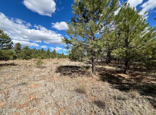 11322 E Park Ln, Parks, AZ 86018