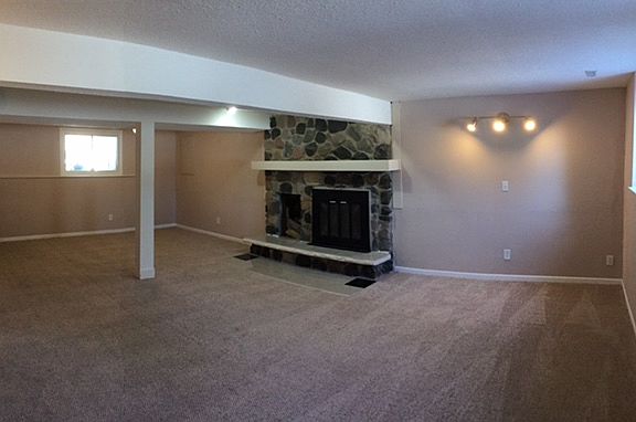 Lower level den/office Fire Place