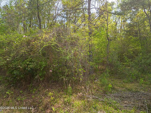 4th image of 13264 River Rd