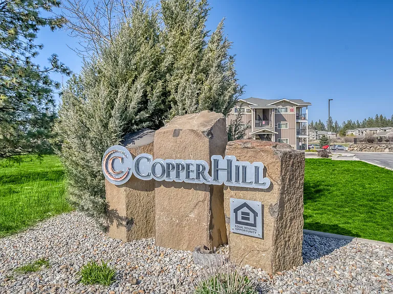 Copper Hill — Photo 18