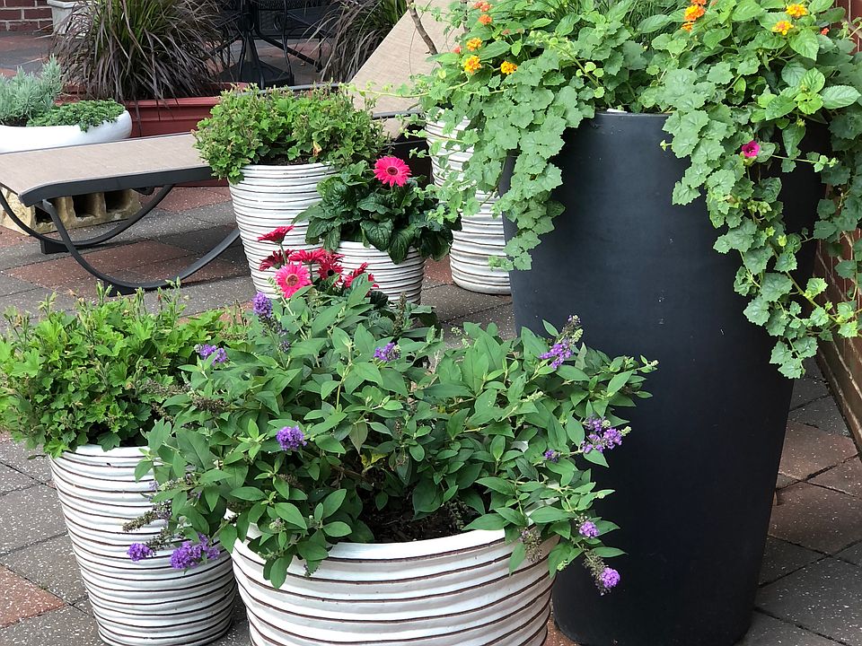 1102 Square foot patio