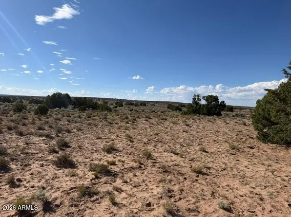 TBD County Rd N7207 -- #-, St Johns, AZ 85936