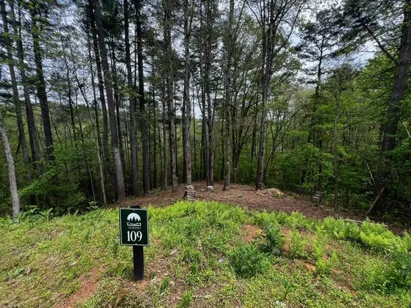 109R Red Oak Trl, Ellijay, GA 30540