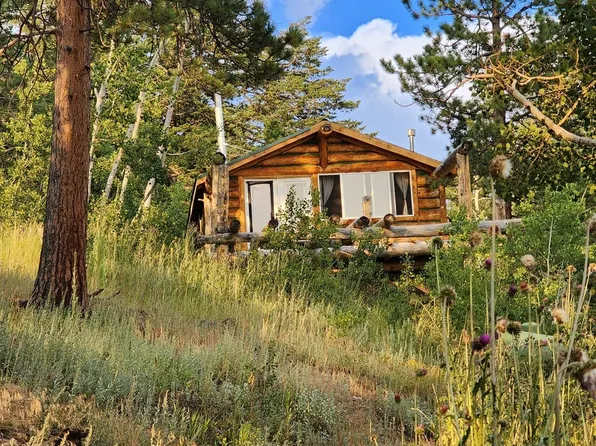 7026 Storm Mountain Dr, Drake, CO 80515