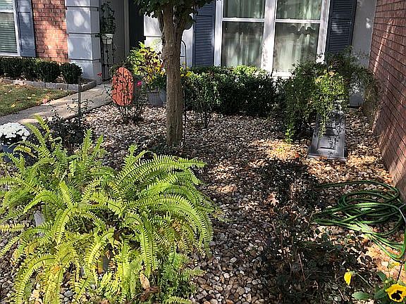 Attractive Flower Garden 