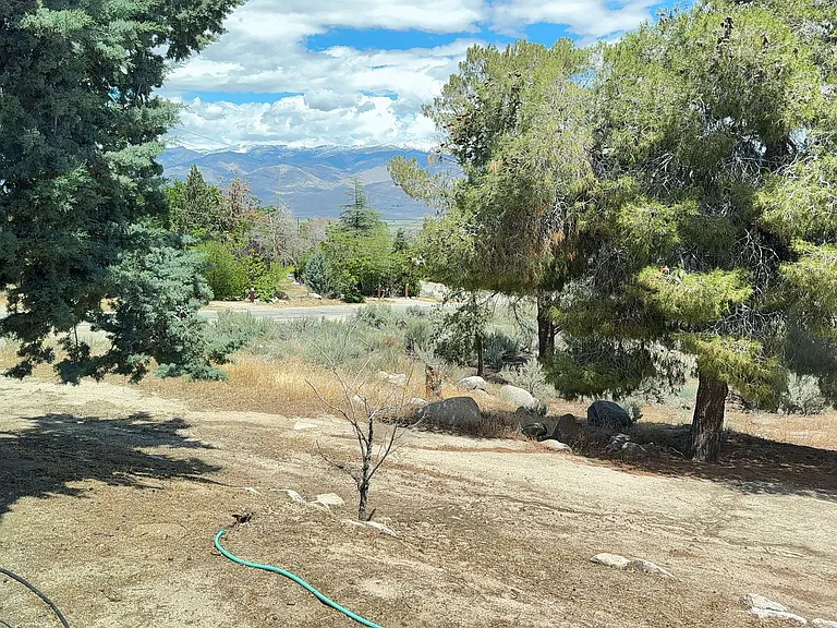 164 Cottonwood Ln — Photo 30