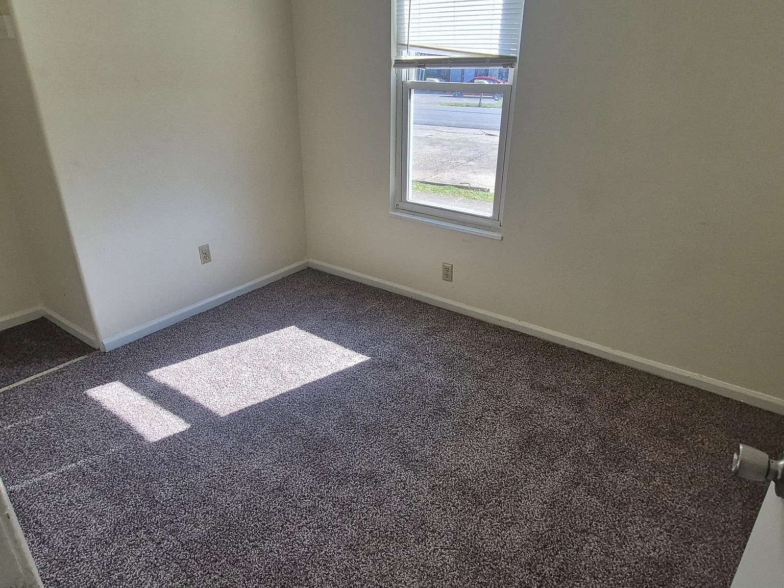 381 Shelby Avenue — Photo 3