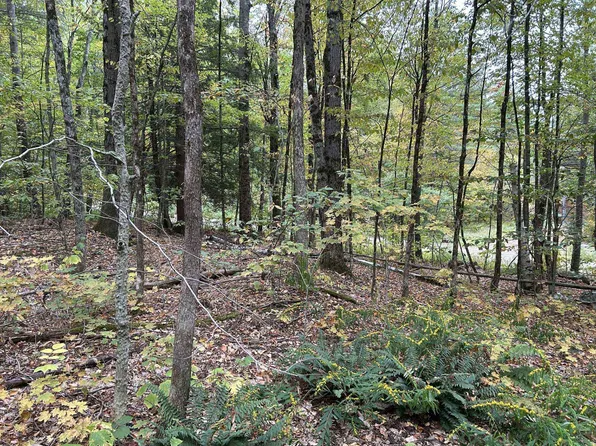 0 Crane Mt Road Lot # 2, Townshend, VT 05353