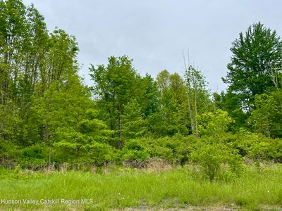 Tbd Orchard Drive, Modena, NY, 12548