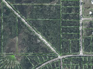 104 Wayburn St, Georgetown, FL 32139