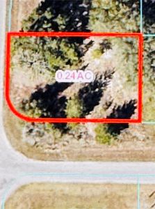 Malauka Run LOT 7, Ocklawaha, FL, 32179