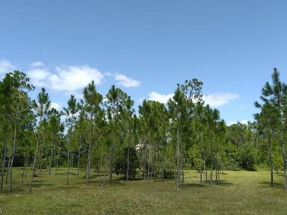 2nd image of 2343 Bayberry Ln Lot 11