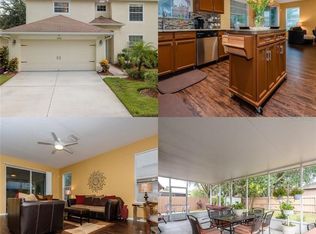 10901 May Apple Ct, Land O Lakes, FL 34638