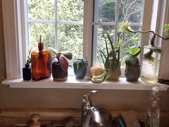 View from kitchen window