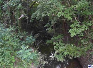 1264 Anderson Bridge Rd, Scranton, SC 29591