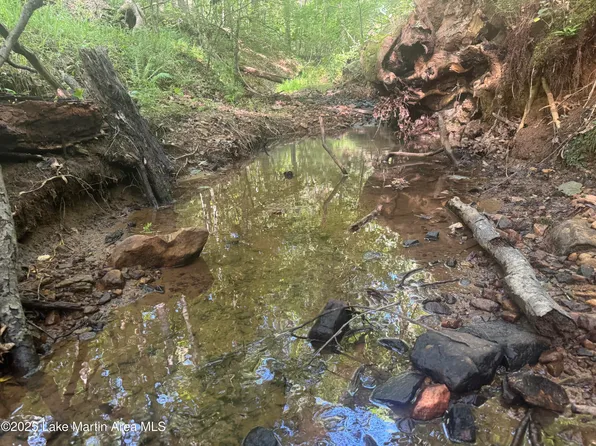 7 Buckskin Ct, Dadeville, AL 36853