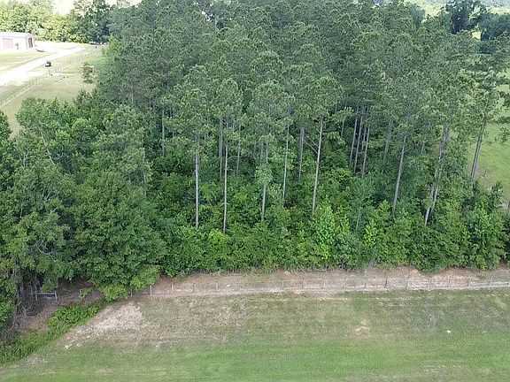 3rd image of 7 W Big Branch Dr