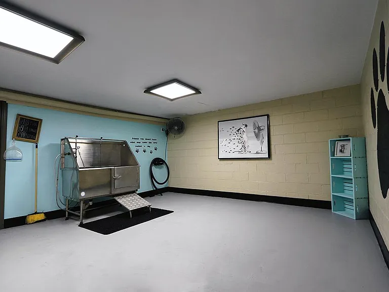PET SPA