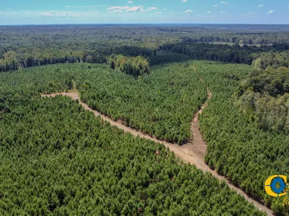 0 Haglersville Rd Lot 7, Henry, TN 38231