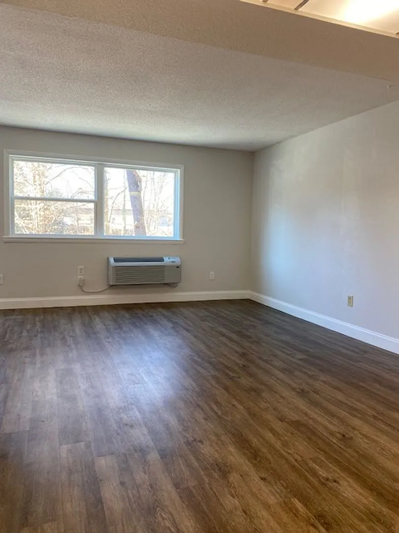 West AVL - Clean, Bright, Spacious Two Bedroom Apartment — Photo 4