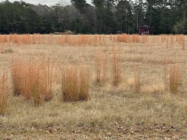 TBD Gurley Rd. #Tract B2, Loris, SC 29569