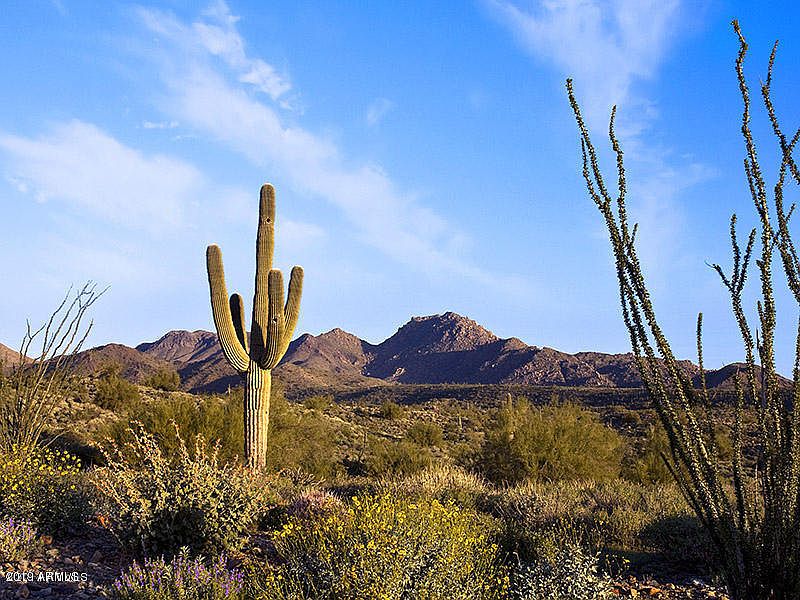 1st image of 15609 N JAVELINA Trail #218