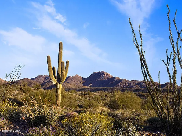 15609 N JAVELINA Trail #218, Fountain Hills, AZ 85268