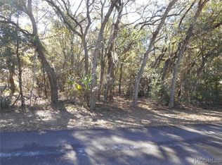 609 N Brighton Rd, Lecanto, FL 34461