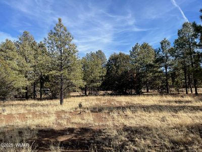 47 County Road 2018, Nutrioso, AZ, 85932