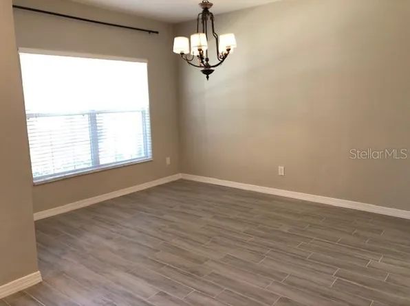 15743 Fishhawk Falls Dr, Lithia, FL 33547
